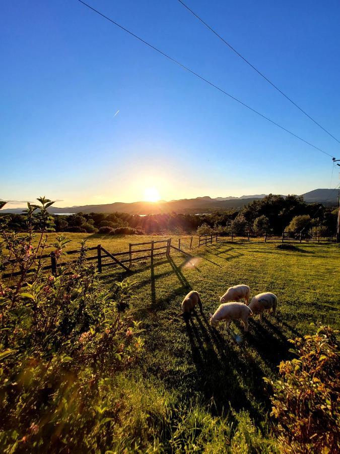 Oaklane Glamping Chalet Kenmare