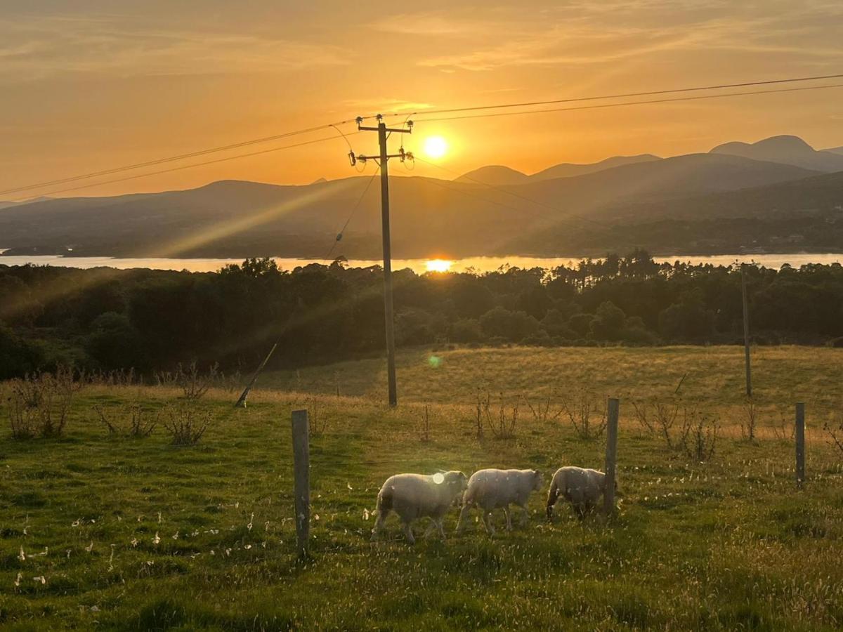 Oaklane Glamping Kenmare